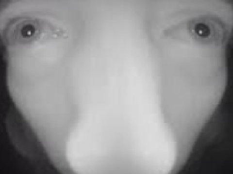 Meet the Chud Himself/Chatroom