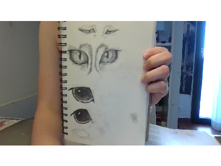 art dumf