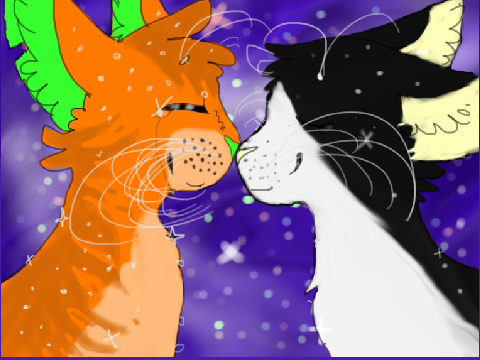 more tallstar x jake