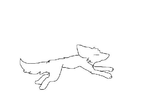 run cycle