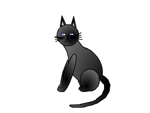 Burmese cat