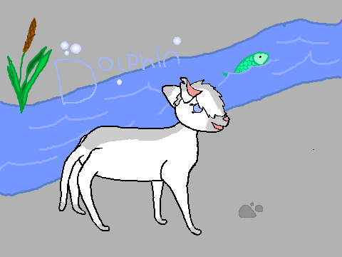 Gift: @ChargeCats