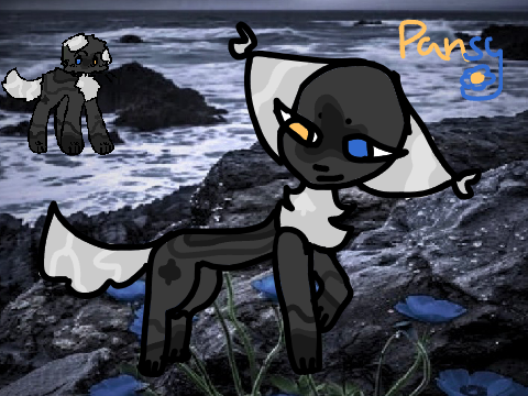 ❀✿＊Applying For Pansy❀✿＊