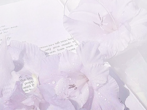 ✧*̥˚ " Glamorous Life " - an Odelia SRP *̥˚✧
