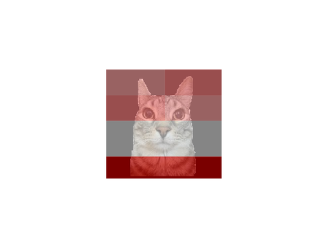 new pfp