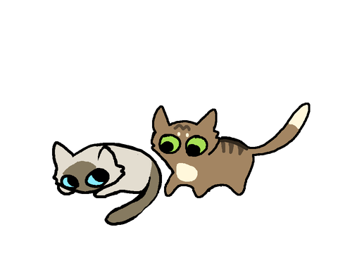 animation test