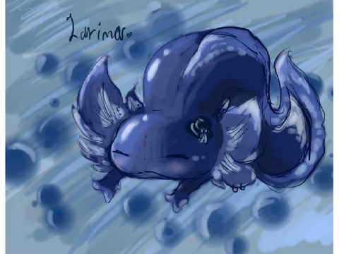 Axolotls!