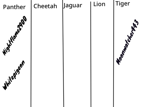 Wild cats remix remix