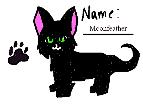 Moonfeather ref 
