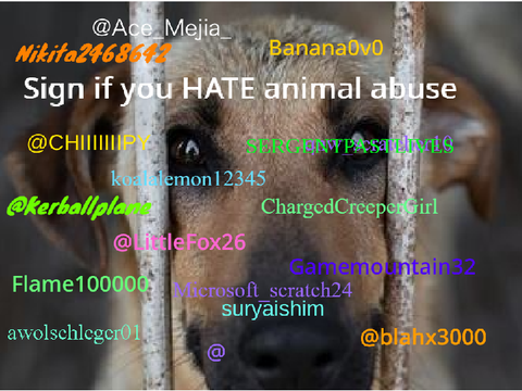 sign if you hate animal abuse IT IS NOT RIGHT remix