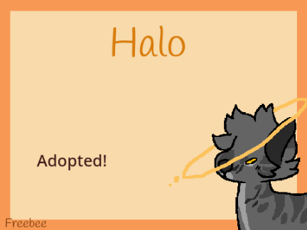 Halo [Adopted]