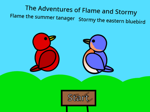 The Adventures of Flame and Stormy
