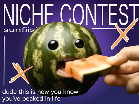 NICHE CONTEST