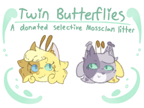 °୭̥•Twin Butterflies~a donated selective Mossclan litter