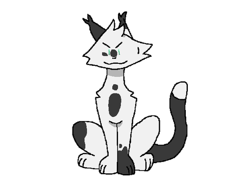 I love drawing cats