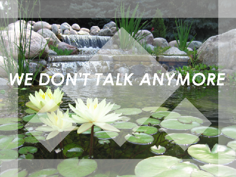 We don't talk anymore // MEME remix