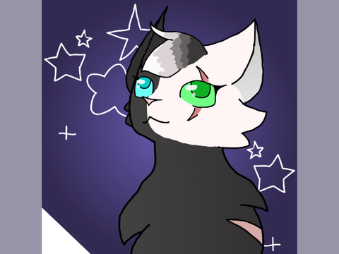 PFP Entry