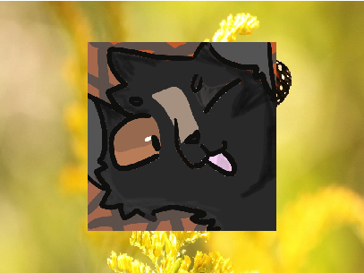 pfp for rei
