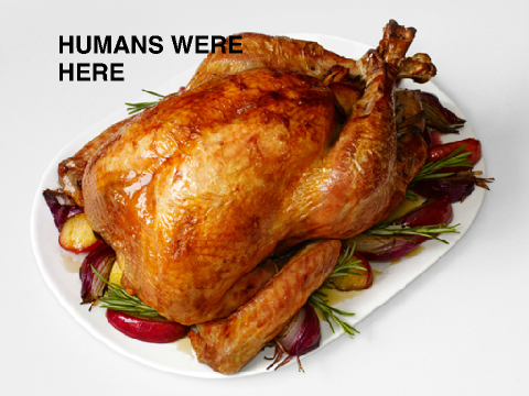 Happy ThanksGiving AND SAVE THE TURKEY