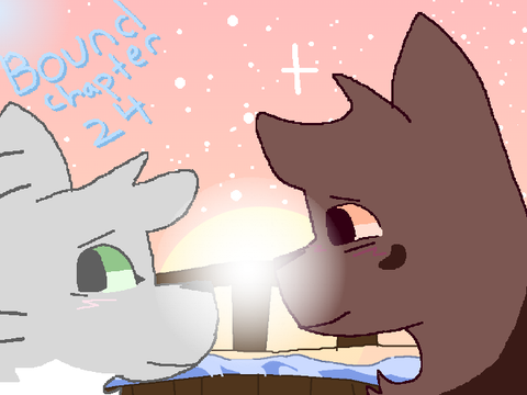 Bound Chapter 24 TN entry