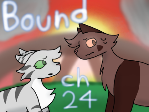 Ch 24 TN entry