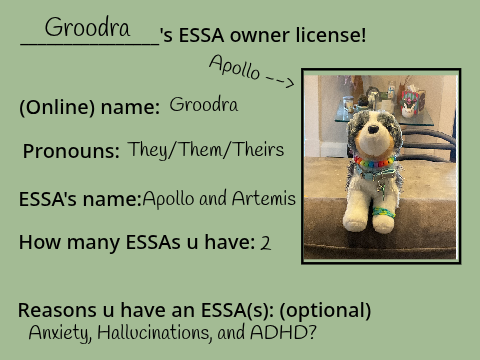 ESSA owner license//Groodra's Version