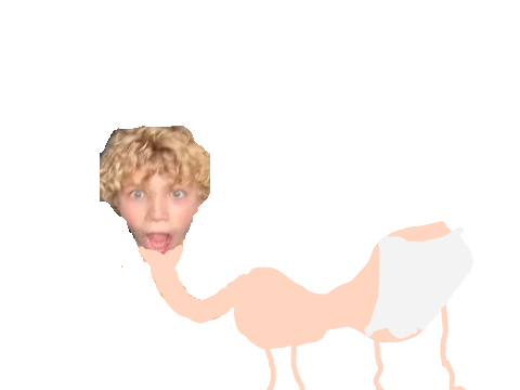 FRANSIS