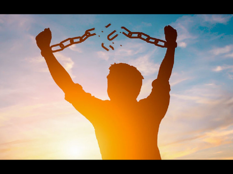 IM FREE
