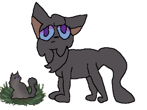 RainbowClan if they survived ~ Clan Gen ~ Moon 0