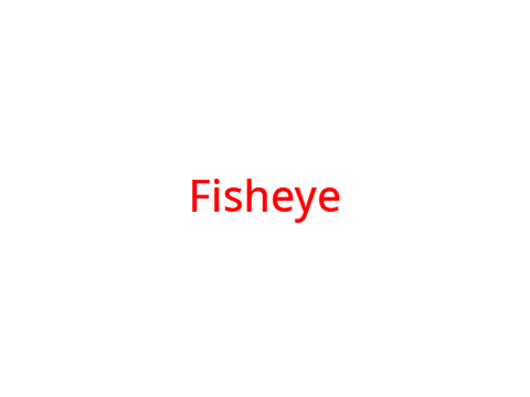Fisheye Flip