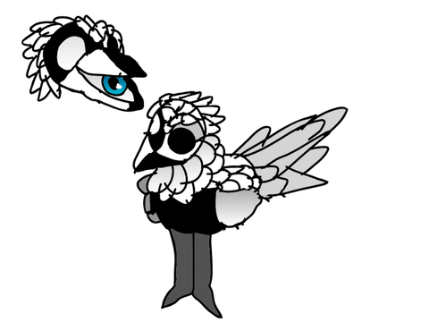 Nameless as a bird