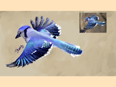 I drew a Blue Jay in Magma