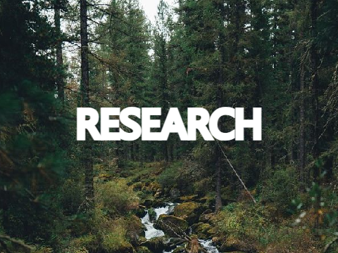 timber research: asthma and autism