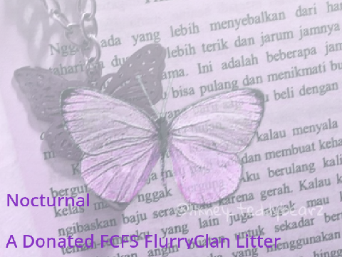✧*̥˚ [ CLOSED ] " Nocturnal " A FCFS FlurryClan Litter *̥˚✧