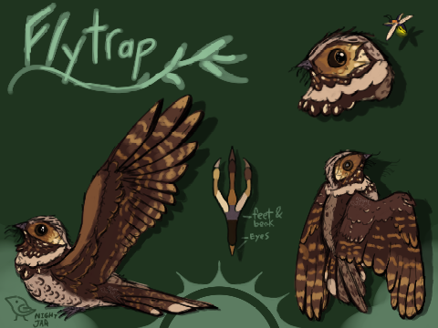 FLYTRAP REF 2!!!!!