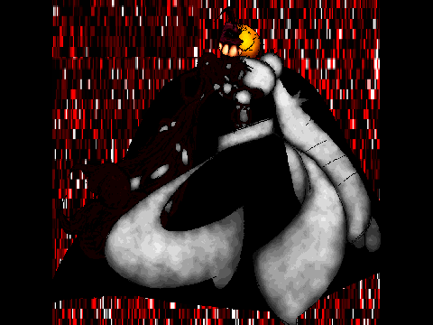 Naeratus