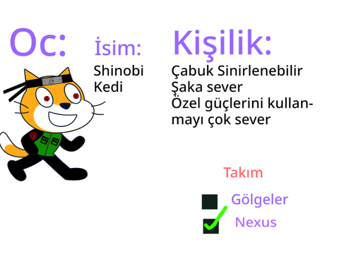 GÖLGELERİN ARDİNDA KATİLİM FORMU remix