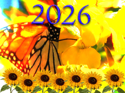 Erickeheitor-2026