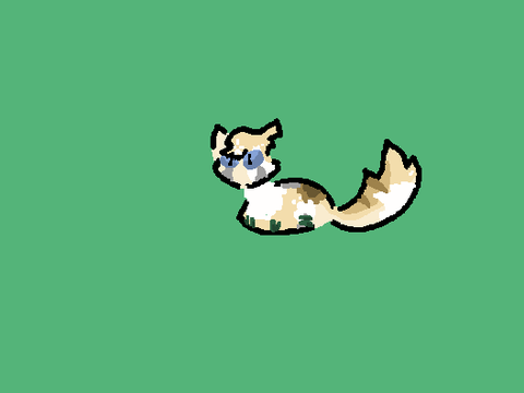 Confitti Bean