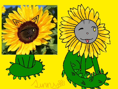 Sunny the Sunflower DTAE