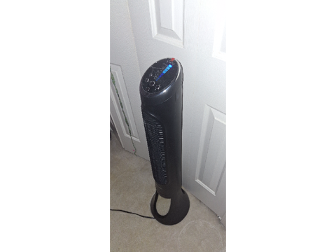 Chat rate my fan