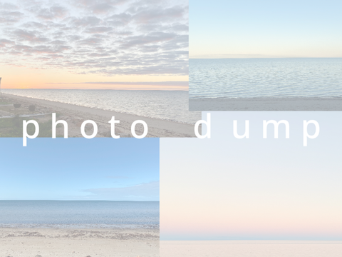 photo dump ✧ beach edition