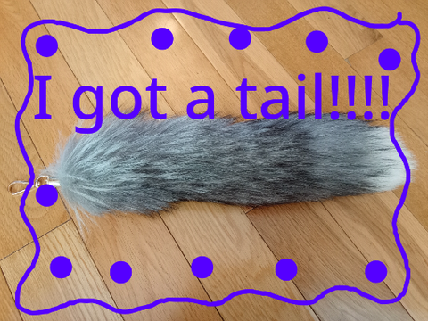 Guys I bot a tail!!!!!!