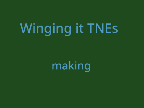 ch.11 TNEs// These is still open
