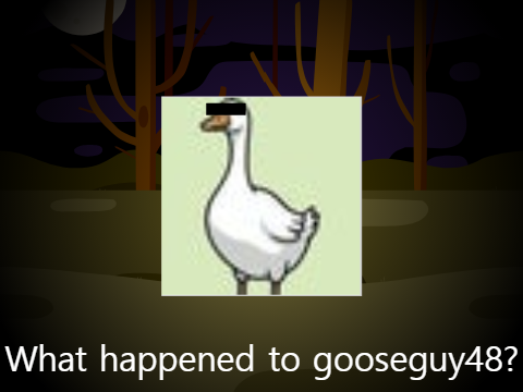 What happened to gooseguy48?