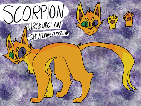 [36.] scorpion’s napping spot
