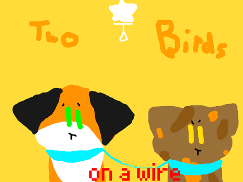 Two Birds on a Wire