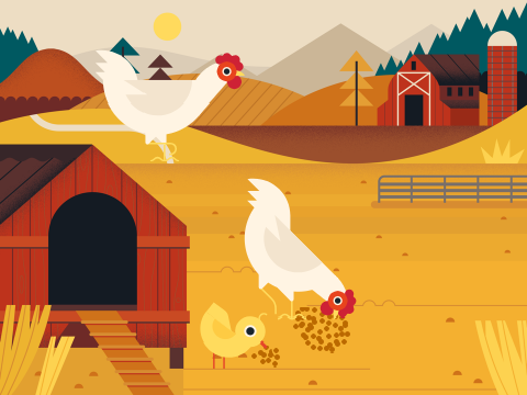 A day on the farm