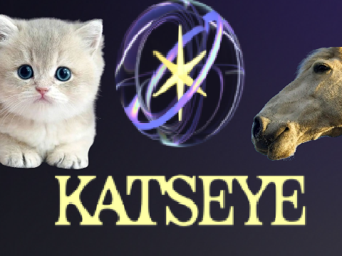 The KATPONY Chatroom