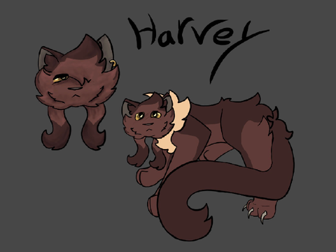 Harvey art + process